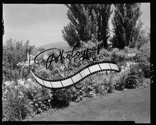 Martha's Farm,gardens,plants,trees,Lynchburg,VA,Virginia,Architecture